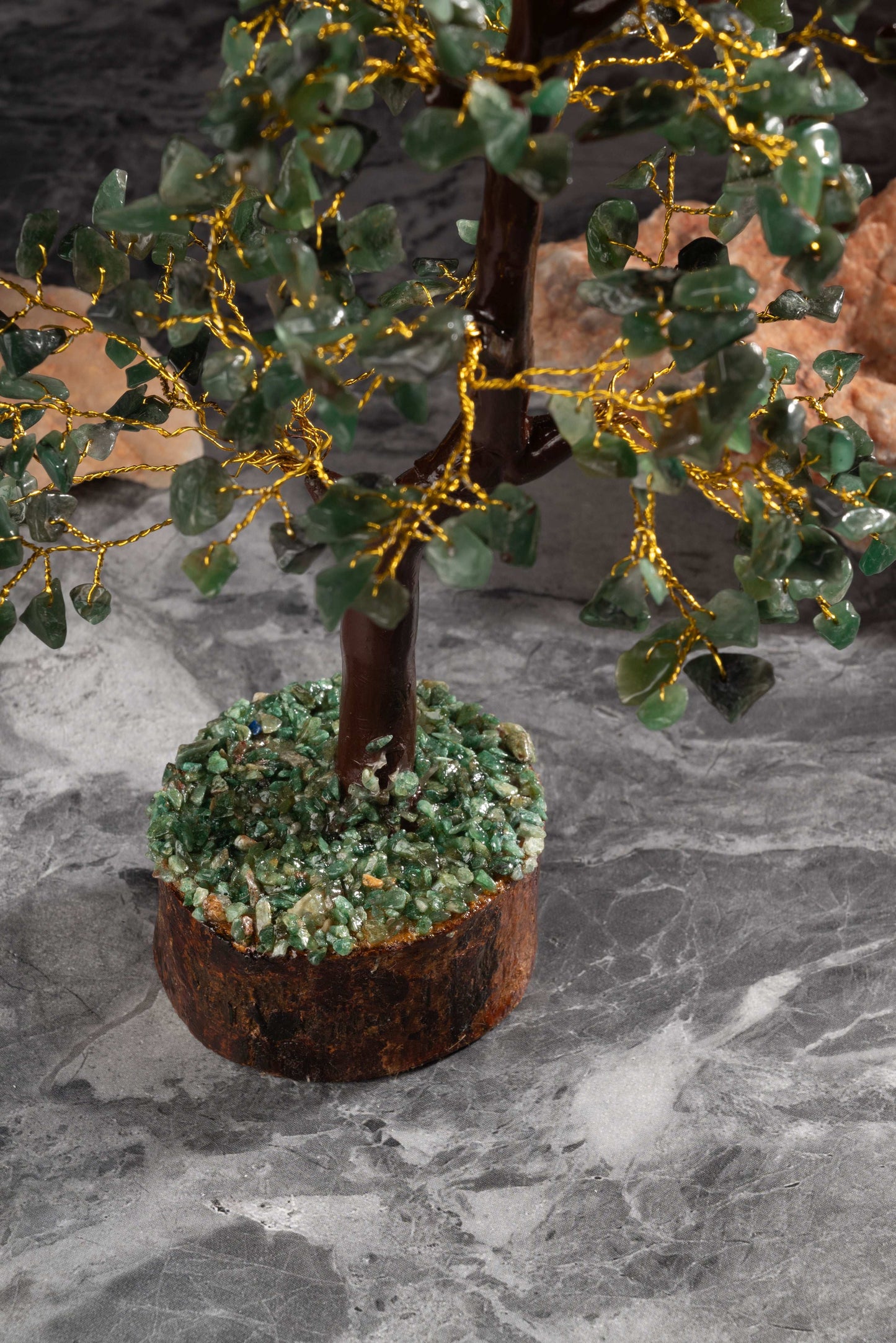 Money tree with green jade leaves for luck and Vastu prosperity