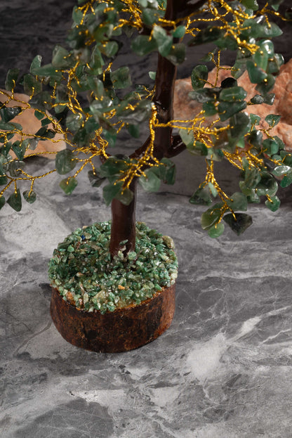 Money tree with green jade leaves for luck and Vastu prosperity