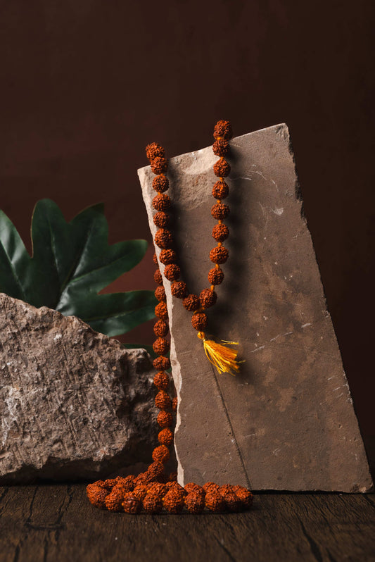 5 Mukhi Rudraksha jaap mala for Shiva mantra chanting and protection